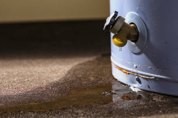 Best Sewage cleanup and water damage restoration  in Schwenksville, PA