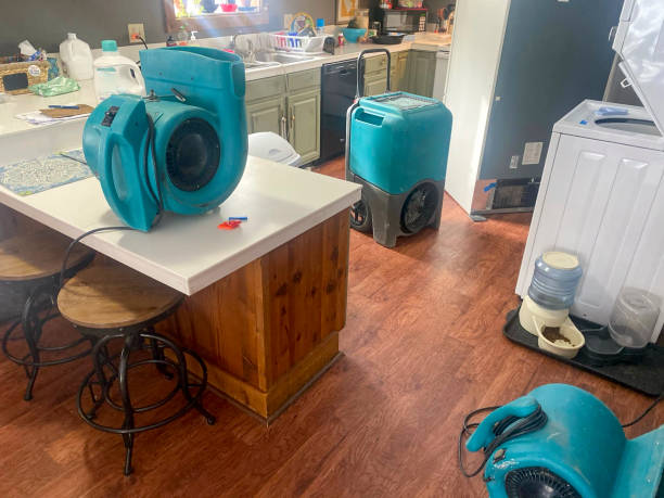Best Local water damage restoration  in Schwenksville, PA