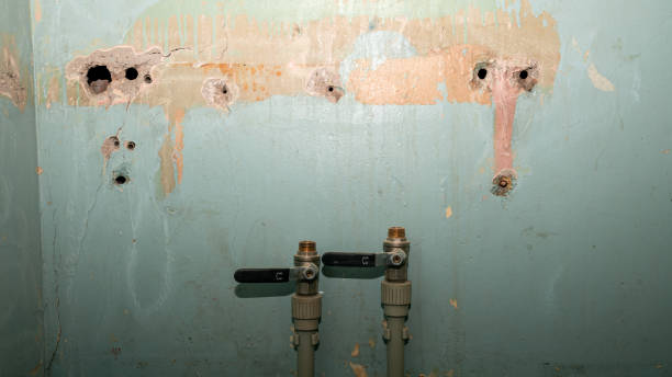 Best 24/7 water damage repair  in Schwenksville, PA