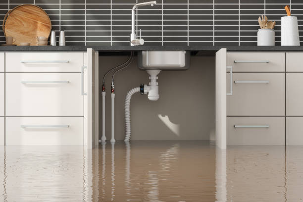 Best Fire Damage Restoration  in Schwenksville, PA