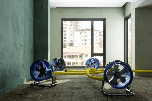 Best Water damage contractors near me  in Schwenksville, PA