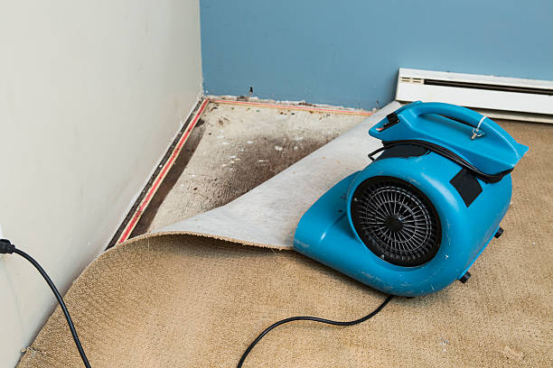 Best Carpet water damage restoration  in Schwenksville, PA